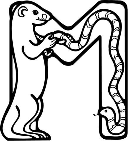 Letter M Is For Meerkat Coloring Page